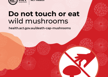 Do not touch or eat any wild mushrooms
